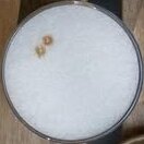 Um pisco sour visto de cima.