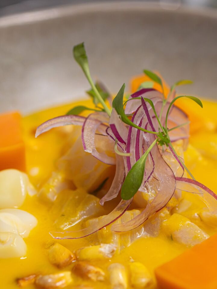 Ceviche num leite de tigre amarelo, com batata-doce, milho branco, milho torrado e cebola roxa, visto de perto.