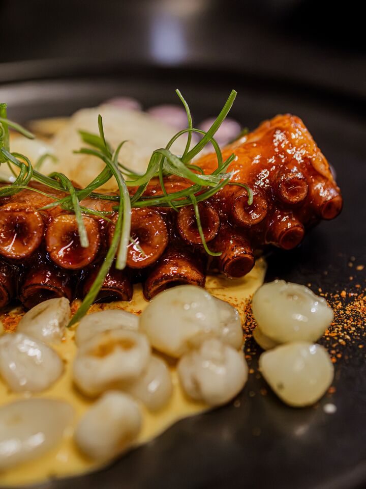 Pulpo anticuchero: um tentáculo de polvo grelhado e lacado em molho anticucho, sobre molho huancaína, com milho peruano.